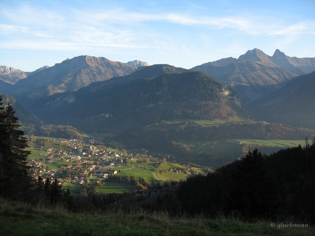 20081026_293
